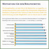 Motivation Berufseinstieg